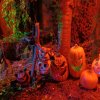 img_0557
